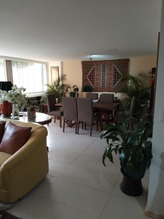 Alloggio in famiglia Charming Sunny Bedroom Overlooking Beautiful Amsterdam Avenue In Condesa Area Città del Messico
