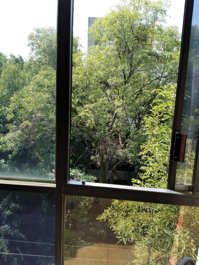 Alloggio in famiglia Charming Sunny Bedroom Overlooking Beautiful Amsterdam Avenue In Condesa Area Città del Messico