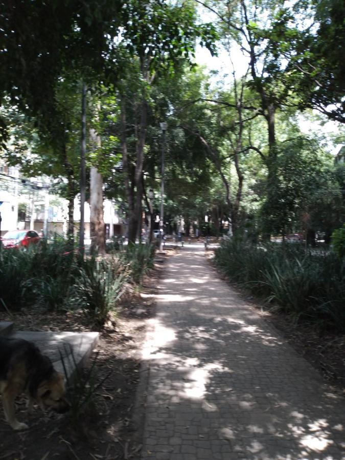 Charming Sunny Bedroom Overlooking Beautiful Amsterdam Avenue In Condesa Area Alloggio in famiglia *